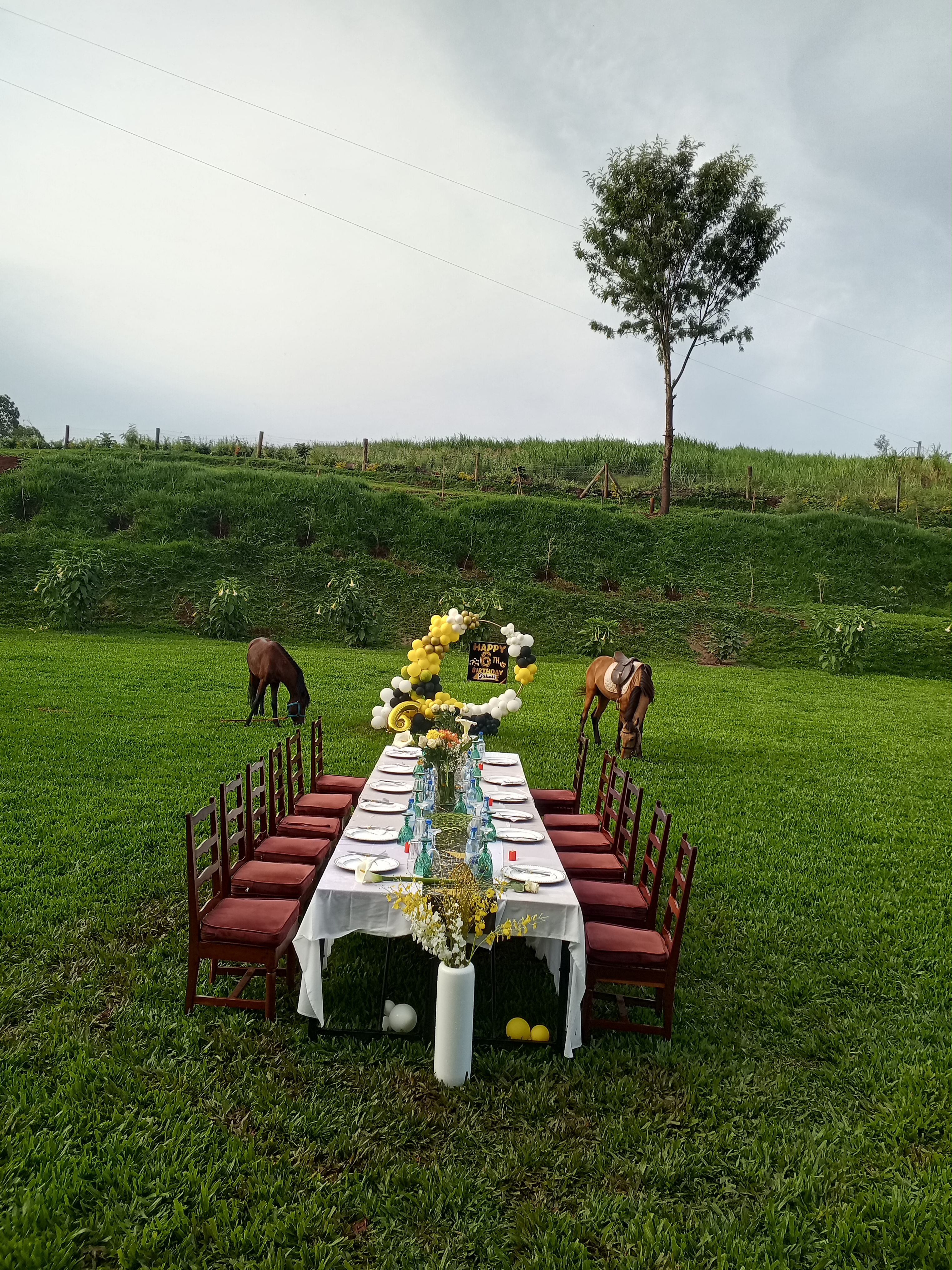 garden birthday setup in limuru photo 3